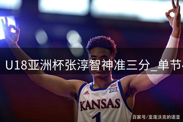 U18亚洲杯张淳智神准三分 单节4记远投独得18分